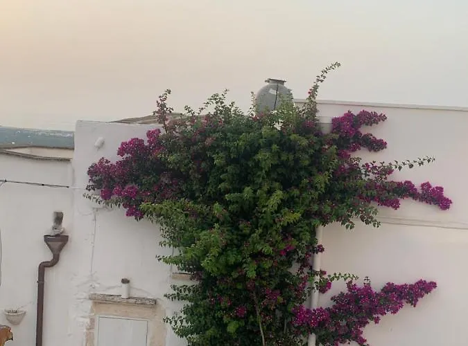 Casetta Lu Di Tenuta Miro Vakantiehuis *